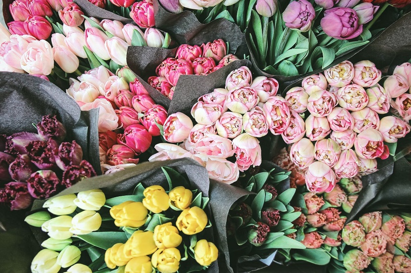 Lee más sobre el artículo Flores para cada habitación: Cómo crear un hogar acogedor con la ayuda de la floristería