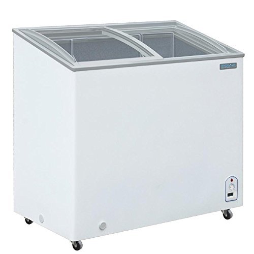 Congelador vertical pequeño o arcon - Congelador pequeño de hostelería -  Expomaquinaria, Congelador Pequeño