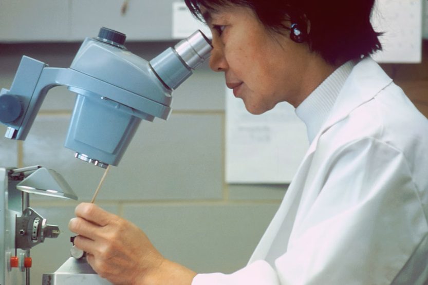 En este momento estás viendo Oculta un cáncer y pierde la indemnización de un seguro de vida