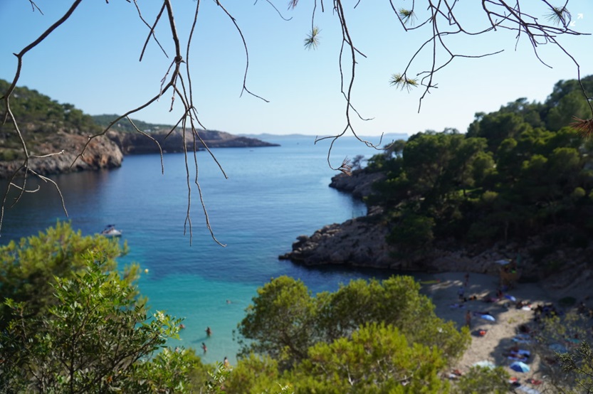 En este momento estás viendo Ibiza limita el número de coches de alquiler y no residentes