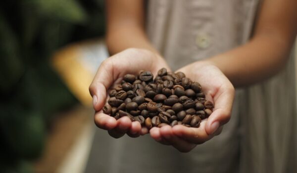 Descubre el mejor café de origen de calidad en tu hogar