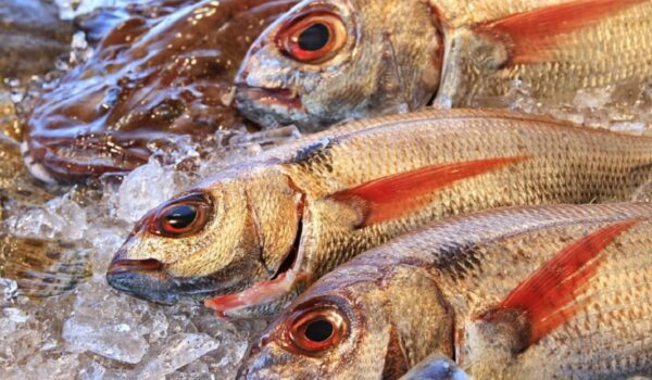 A Despensa Da Ría: la pescadería online con los productos más frescos