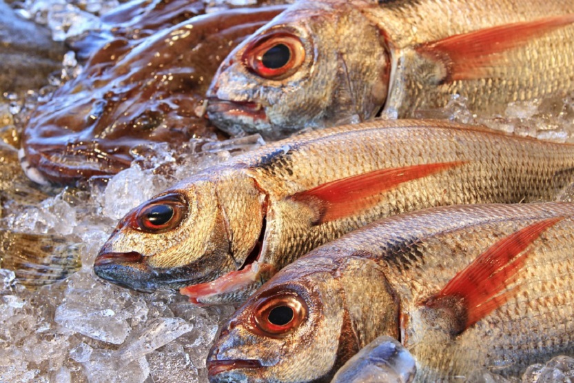 En este momento estás viendo A Despensa Da Ría: la pescadería online con los productos más frescos