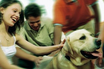 Lee más sobre el artículo Derechos de las personas con perros de asistencia